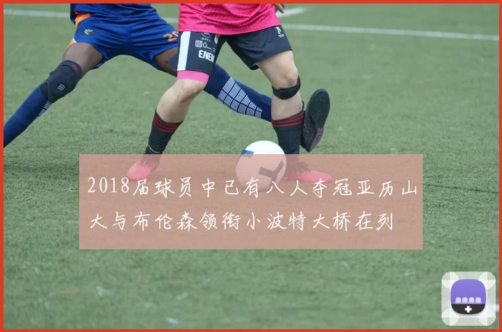 2018届球员中已有八人夺冠亚历山大与布伦森领衔小波特大桥在列
