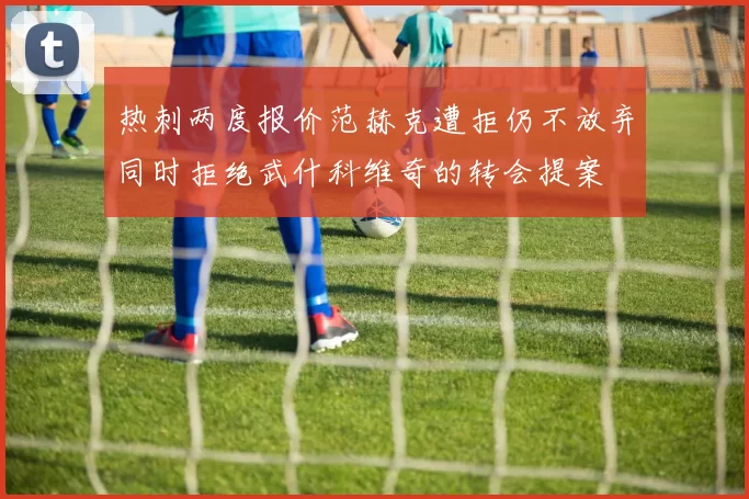 热刺两度报价范赫克遭拒仍不放弃同时拒绝武什科维奇的转会提案